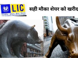 LIC Share